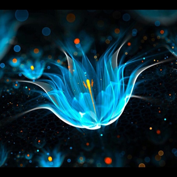 Meet your Posher, Tracy - Picture 3 of 6